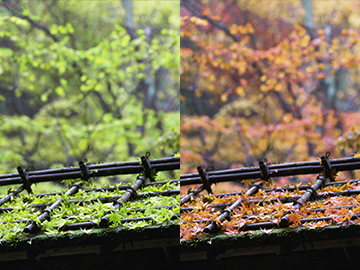 サンプル画像 Photoshop フォトショップ3