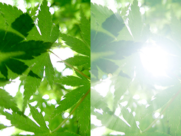 サンプル画像 Photoshop フォトショップ10
