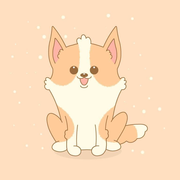 グラフィックデザイン作例 イラストレーター Illustrator & フォトショップ Photoshop